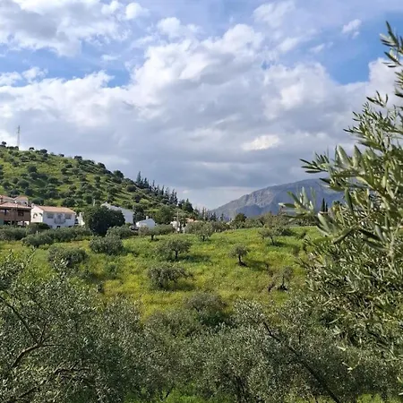Bellido Alora